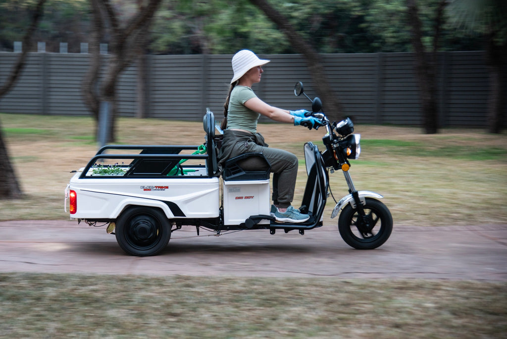 Big Boy Elec-Trike 800W