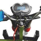 Cargo E-Trike 2200W Lithium